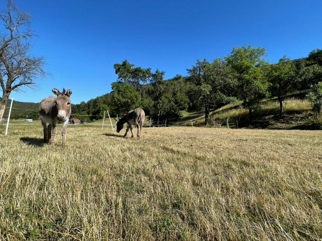 Appartamento Huedahof Niemtal Esterno foto