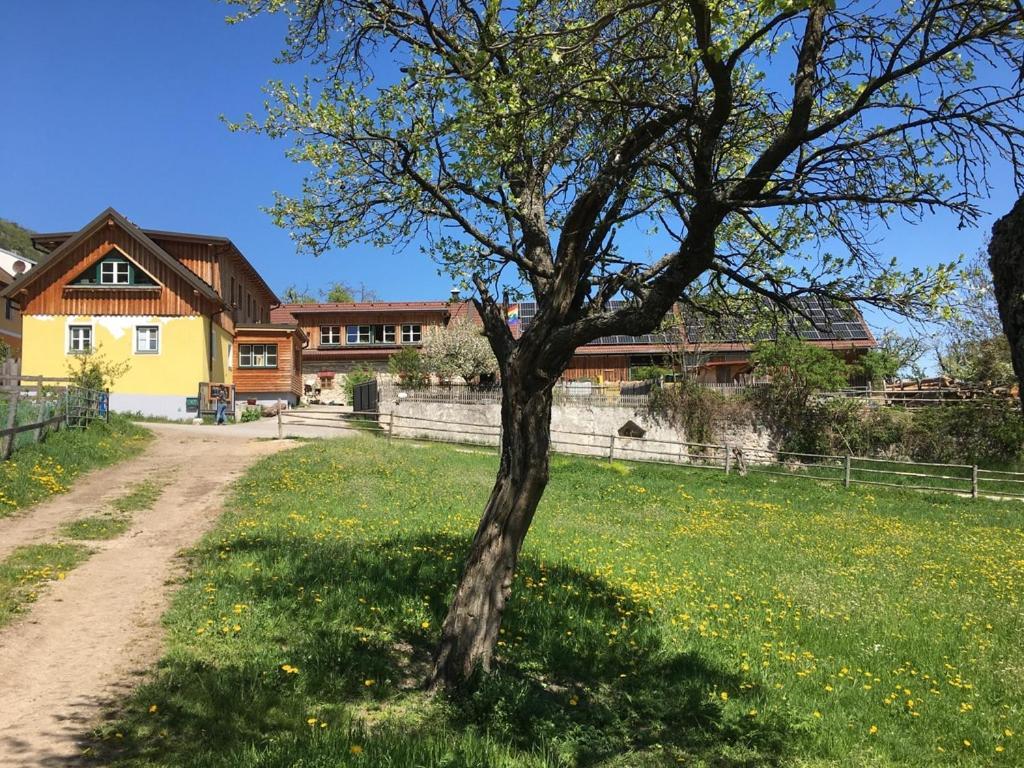 Appartamento Huedahof Niemtal Esterno foto
