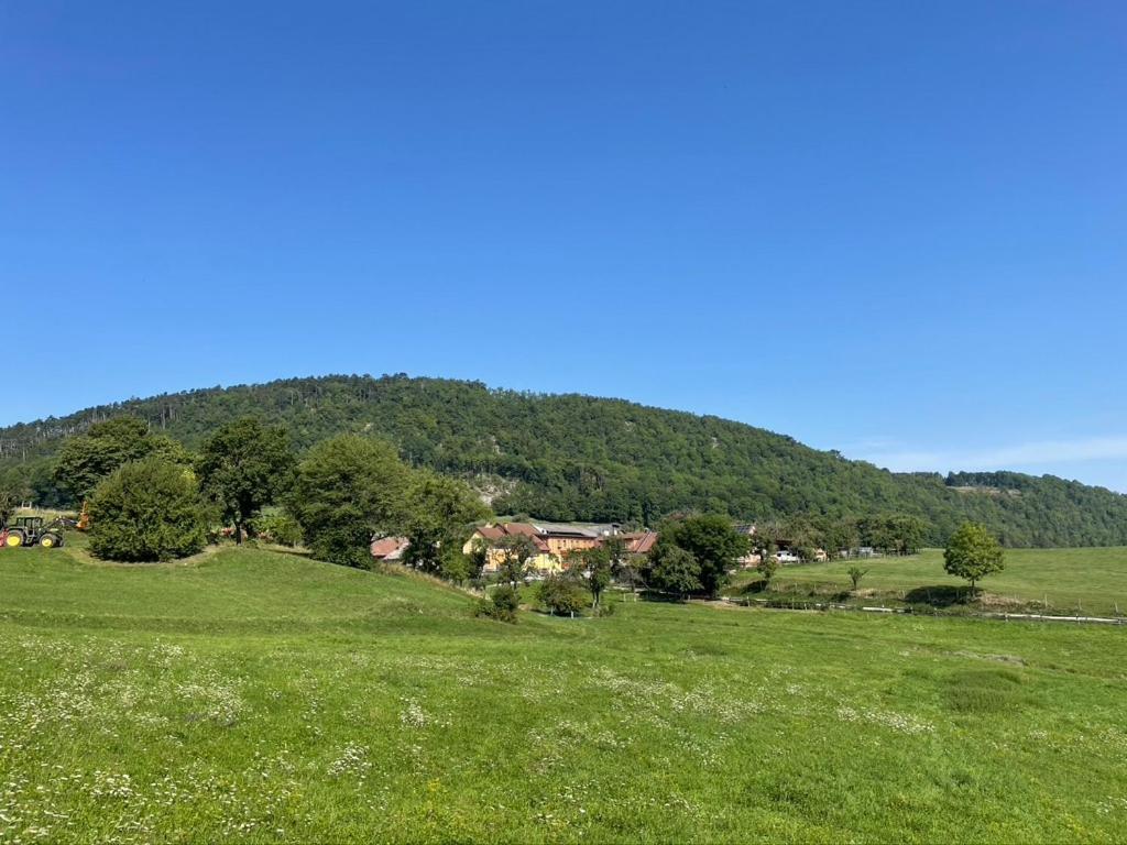 Appartamento Huedahof Niemtal Esterno foto