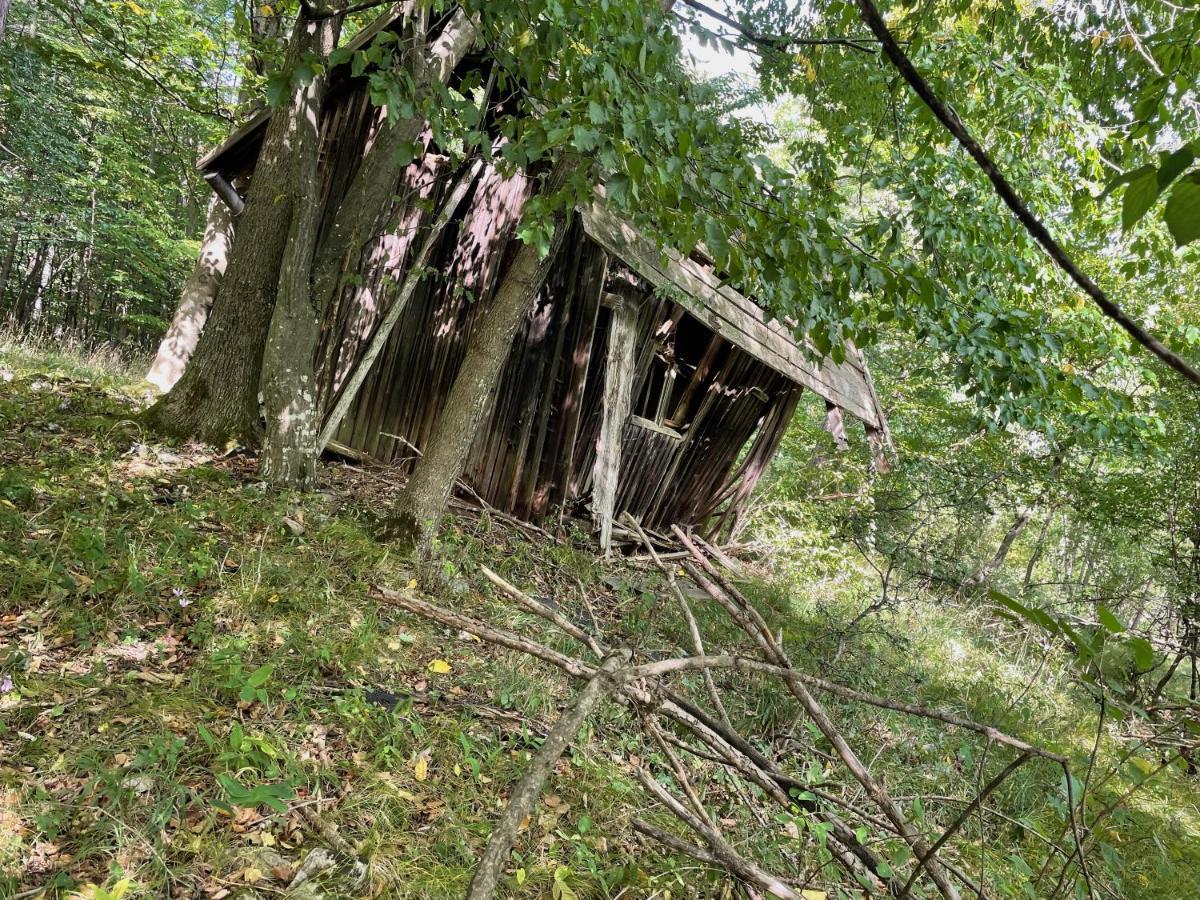 Appartamento Huedahof Niemtal Esterno foto