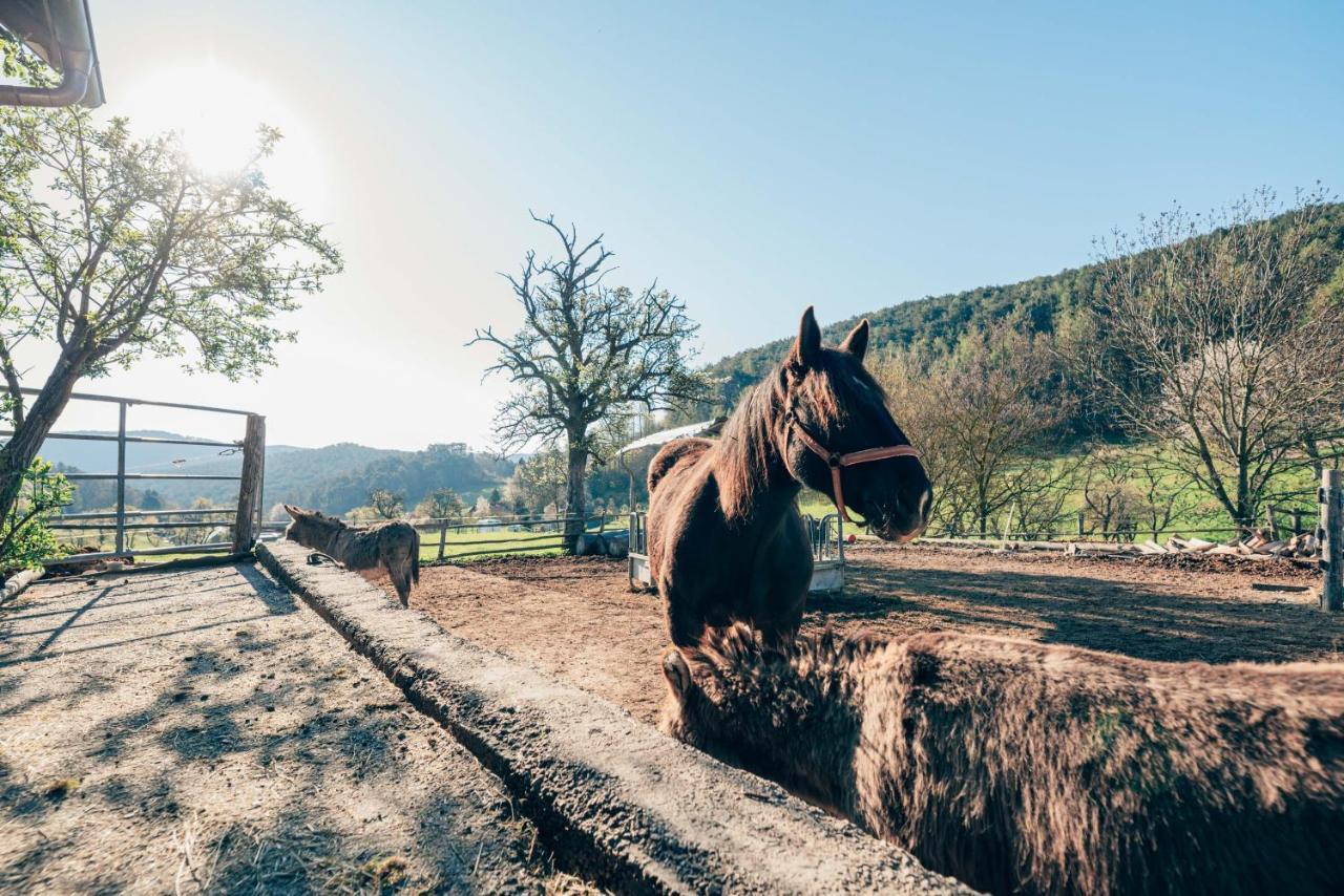 Appartamento Huedahof Niemtal Esterno foto